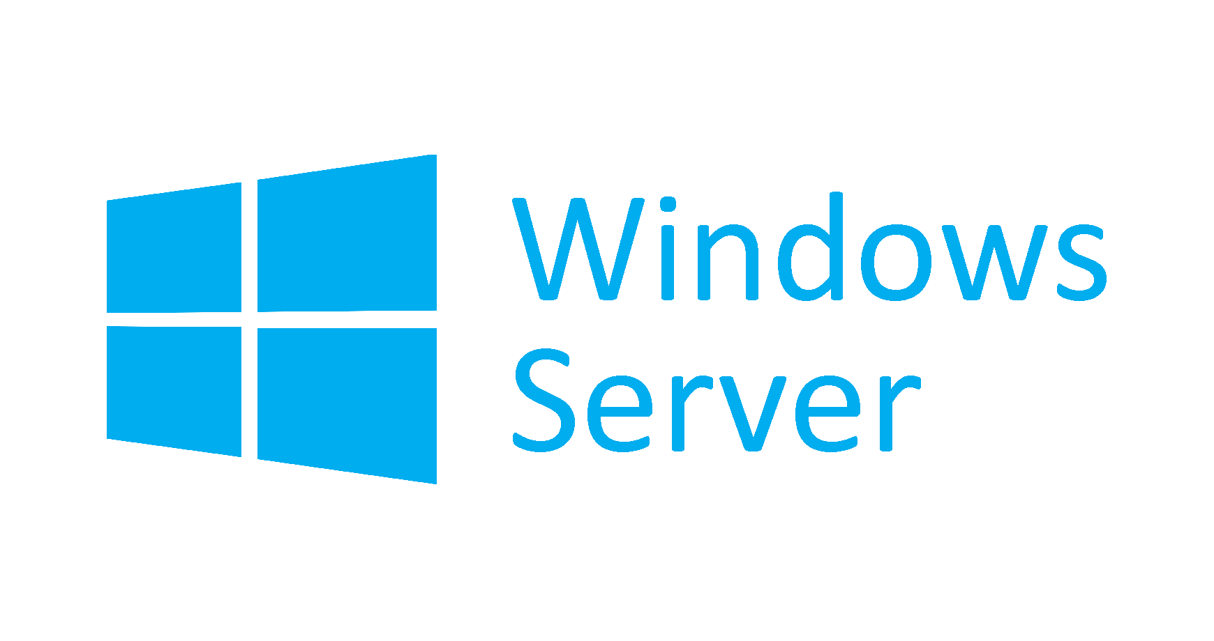 Windows Server partner logo